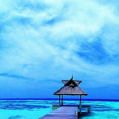 幸运快3app官网截图