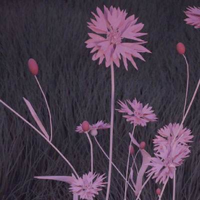 AG官方平台下载地址下载手机版