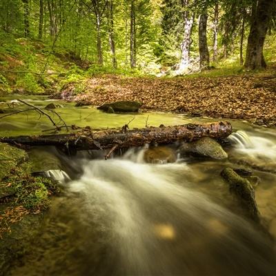 365平台下载下载手机版