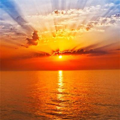 牛牛游戏网手机app下载